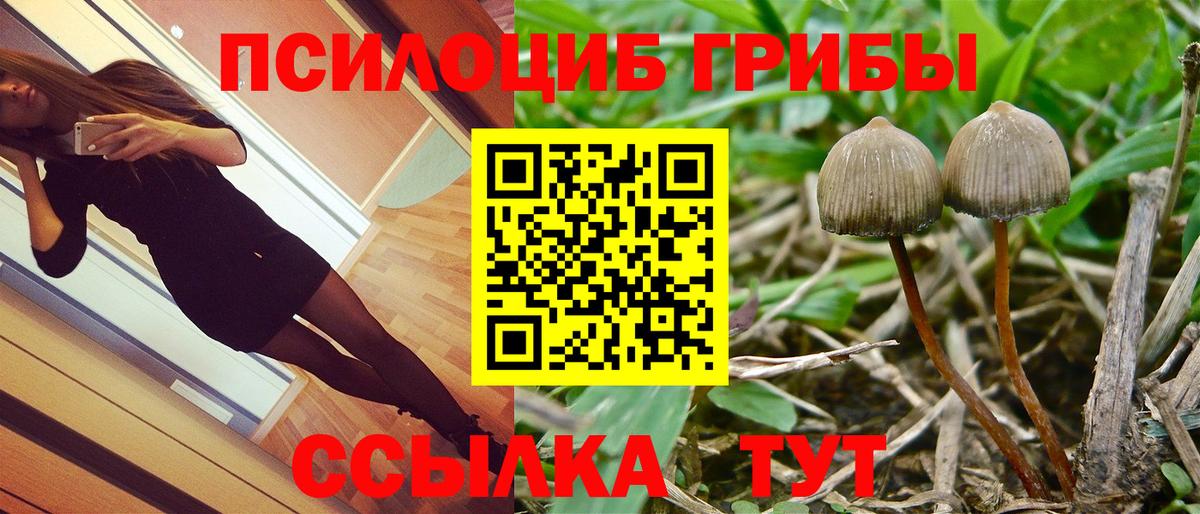 Гусиноозёрск  Псилоцибиновые грибы GOLDEN TEACHER  Вход с VPN 